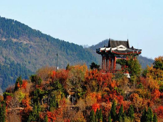 照金香山