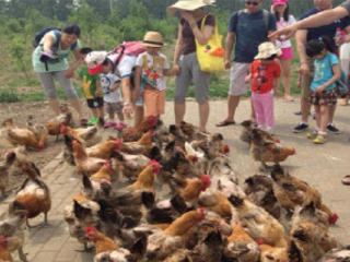 北京亲农耕农业体验园