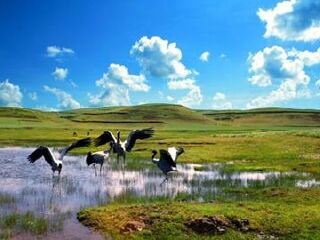 昭通大山包风景区