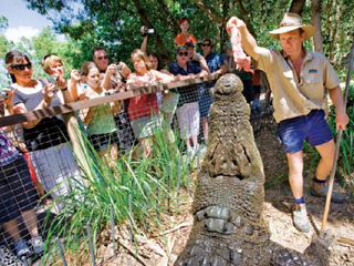 哈特利鳄鱼探险公园