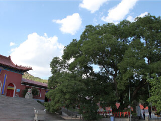 阜新宝力根寺