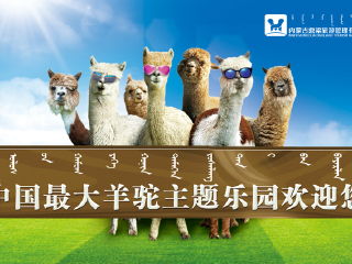 鼎梁羊驼主题乐园