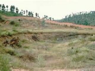 开远腊玛古猿化石产地