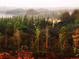 万紫千红生态养生旅游度假区