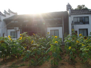 衢州九龙湖太阳岛