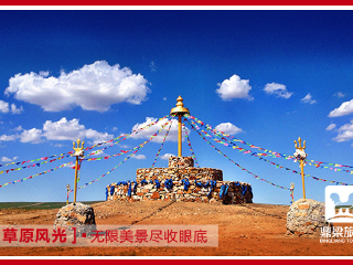 鼎梁羊驼主题乐园