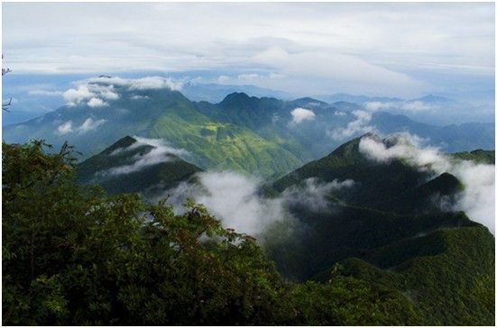 南川金佛山