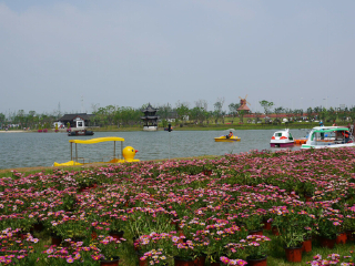 杭州湾海上花田景区