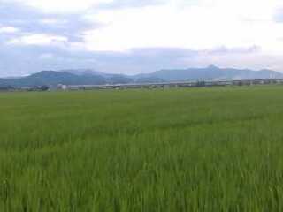 蔡氏书香古宅旅游景区