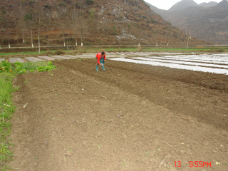 紫云苗族布依族自治县