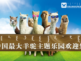 鼎梁羊驼主题乐园