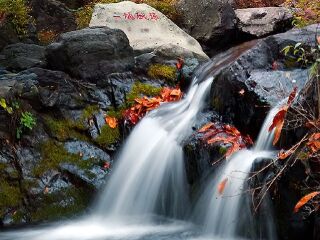 云岫谷游猎自然风景区