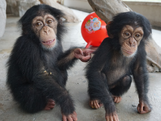 杭州野生动物世界
