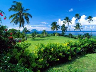 南天门热带植物园