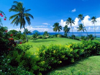 南天门热带植物园