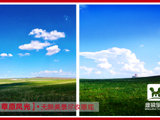 鼎梁羊驼主题乐园
