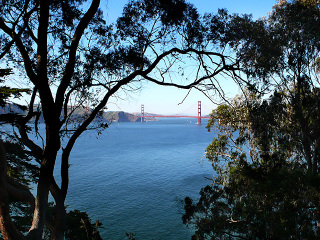 旧金山林肯公园