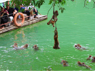南宁隆安龙虎山