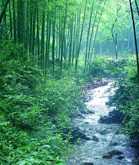 景点图片