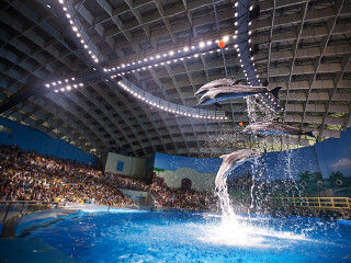 武汉海昌极地海洋公园