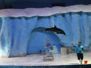 常熟海星岛乐园