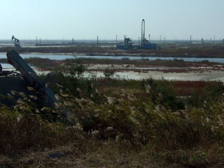 河口生态游乐园