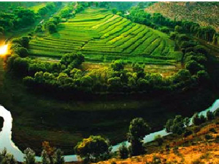 萨拉乌苏旅游区