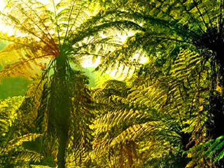 中国侏罗纪公园