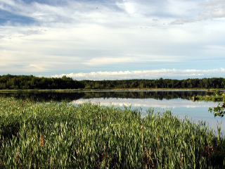 华莱士海湾鸟类保护区
