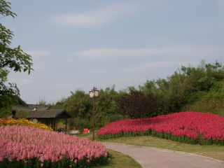 重庆花样龙水湖