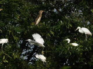 鼎翔生态旅游区