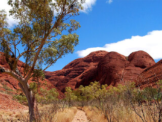 乌鲁鲁卡塔丘塔国家公园