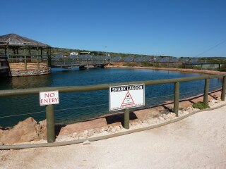 德纳姆海洋公园