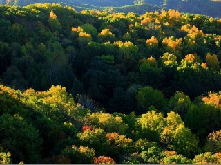 松峰山自然保护区