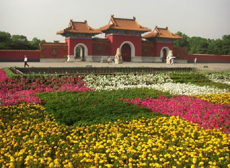 沈阳出境游新动态：多元化选择与热门线路探讨