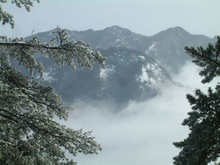 木王国家森林公园