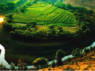 萨拉乌苏旅游区