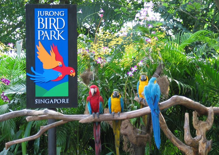 新加坡裕廊飞禽公园