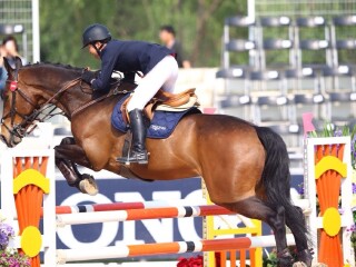 朝阳公园青少年马术培训中心