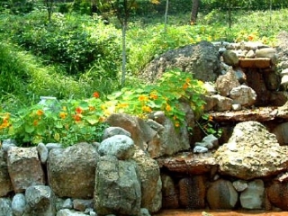 罗浮山中洋仙泉酒店温泉