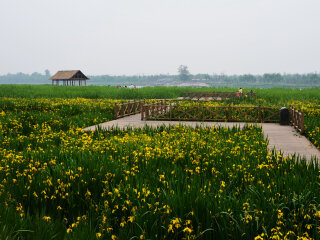 大运河森林公园