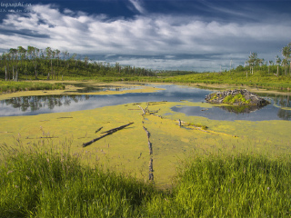 埃尔克岛国家公园