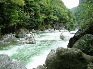 卡马格湿地公园