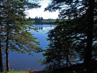 阿默斯特点候鸟保护区