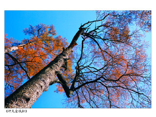杭州临安天目山冰川大峡谷