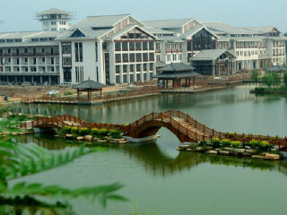 夏津黄河故道森林公园