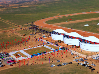 上海庙马兰花草原