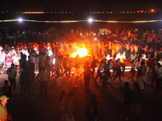 上海庙马兰花草原