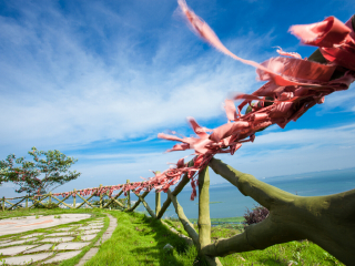 苏州市太湖渔洋山风景区