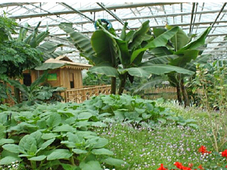 杨凌现代农业创新园